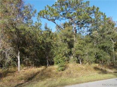 SUPER WOODED BUILDING LOT LOCATED IN THE FOX RUN SECTION OF THE on Citrus Hills Golf Club in Florida - for sale on GolfHomes.com, golf home, golf lot
