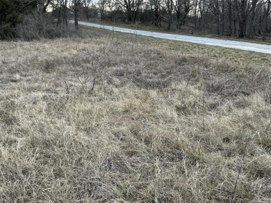 This lot won't last long. Everyone is looking for 1 AC or more on White Bluff Resort - New Course in Texas - for sale on GolfHomes.com, golf home, golf lot