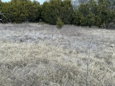 This lot won't last long. Everyone is looking for 1 AC or more on White Bluff Resort - New Course in Texas - for sale on GolfHomes.com, golf home, golf lot