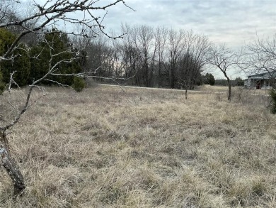 This lot won't last long. Everyone is looking for 1 AC or more on White Bluff Resort - New Course in Texas - for sale on GolfHomes.com, golf home, golf lot