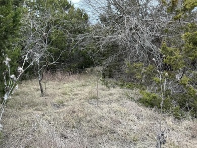 This lot won't last long. Everyone is looking for 1 AC or more on White Bluff Resort - New Course in Texas - for sale on GolfHomes.com, golf home, golf lot