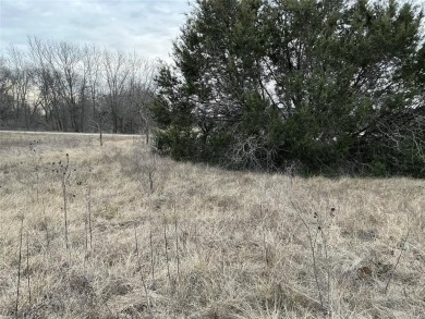 This lot won't last long. Everyone is looking for 1 AC or more on White Bluff Resort - New Course in Texas - for sale on GolfHomes.com, golf home, golf lot