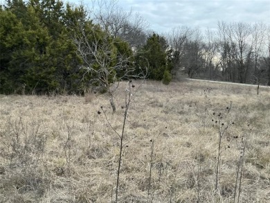 This lot won't last long. Everyone is looking for 1 AC or more on White Bluff Resort - New Course in Texas - for sale on GolfHomes.com, golf home, golf lot