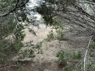 This lot won't last long. Everyone is looking for 1 AC or more on White Bluff Resort - New Course in Texas - for sale on GolfHomes.com, golf home, golf lot