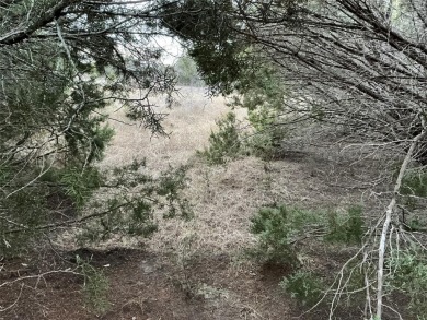 This lot won't last long. Everyone is looking for 1 AC or more on White Bluff Resort - New Course in Texas - for sale on GolfHomes.com, golf home, golf lot