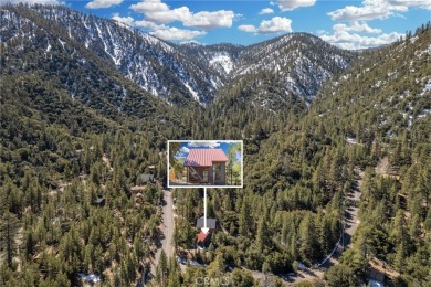 Escape the city and step into your fully furnished mountain on Pine Mountain Club in California - for sale on GolfHomes.com, golf home, golf lot