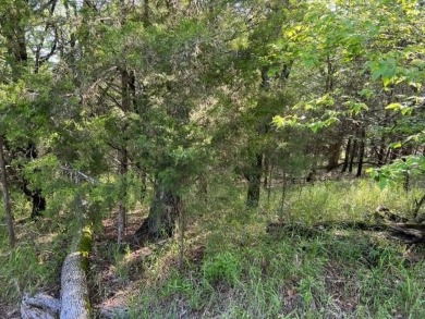 Great lot to build your favorite plan on.  Lots of executive on Holiday Island Executive Golf Course in Arkansas - for sale on GolfHomes.com, golf home, golf lot