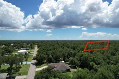 NEW LOT FOR SALE IN PORT CHARLOTTE,  NEAR NEW PROPERTIES. SIZE on Riverwood Golf Club in Florida - for sale on GolfHomes.com, golf home, golf lot