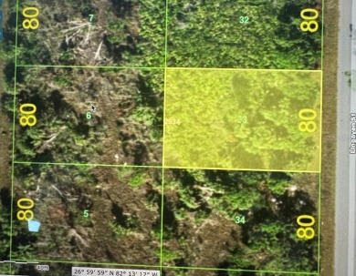 NEW LOT FOR SALE IN PORT CHARLOTTE,  NEAR NEW PROPERTIES. SIZE on Riverwood Golf Club in Florida - for sale on GolfHomes.com, golf home, golf lot