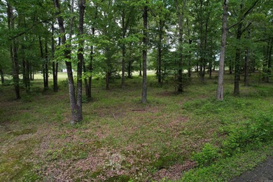 Build your dream home on this beautiful vacant lot in Heber on Thunderbird Country Club in Arkansas - for sale on GolfHomes.com, golf home, golf lot