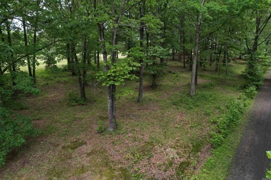 Build your dream home on this beautiful vacant lot in Heber on Thunderbird Country Club in Arkansas - for sale on GolfHomes.com, golf home, golf lot