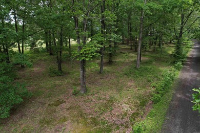 Build your dream home on this beautiful vacant lot in Heber on Thunderbird Country Club in Arkansas - for sale on GolfHomes.com, golf home, golf lot