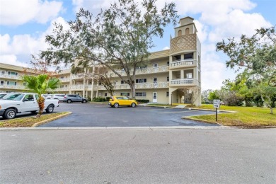 READY TO MOVE IN! ABSOLUTELY STUNNING! This beautifully on On Top Of The World Golf Course in Florida - for sale on GolfHomes.com, golf home, golf lot