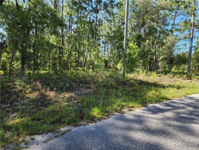 This oversized property offers a perfect spot to build your on Citrus Springs Country Club in Florida - for sale on GolfHomes.com, golf home, golf lot