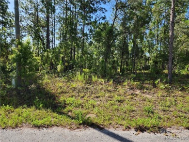 This oversized property offers a perfect spot to build your on Citrus Springs Country Club in Florida - for sale on GolfHomes.com, golf home, golf lot