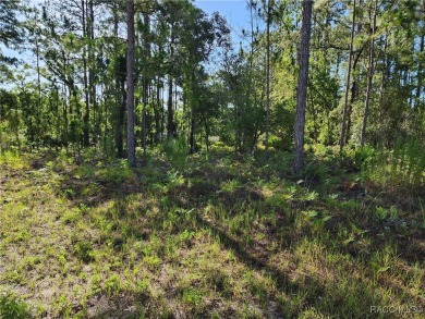 This oversized property offers a perfect spot to build your on Citrus Springs Country Club in Florida - for sale on GolfHomes.com, golf home, golf lot