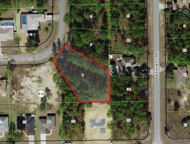 This oversized property offers a perfect spot to build your on Citrus Springs Country Club in Florida - for sale on GolfHomes.com, golf home, golf lot