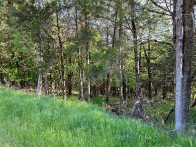 Nice triangle shaped lot that is just shy of 1/3 of an acre (0 on Holiday Island Executive Golf Course in Arkansas - for sale on GolfHomes.com, golf home, golf lot