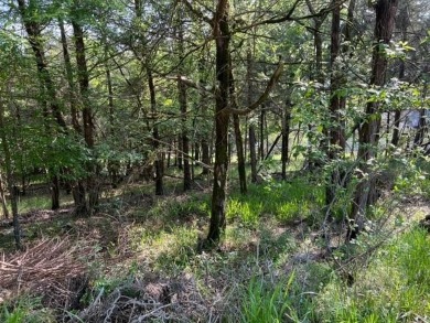 Nice triangle shaped lot that is just shy of 1/3 of an acre (0 on Holiday Island Executive Golf Course in Arkansas - for sale on GolfHomes.com, golf home, golf lot