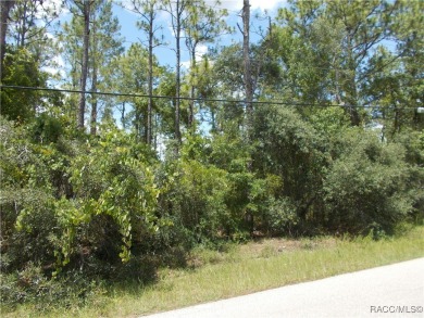 SUPER WOODED BUILDING LOT LOCATED IN THE EMERALD ESTATES SECTION on Citrus Hills Golf Club in Florida - for sale on GolfHomes.com, golf home, golf lot