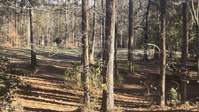 56 acre homesite ready for someone's dream home on a golf on Carolina Colours Golf Club in North Carolina - for sale on GolfHomes.com, golf home, golf lot