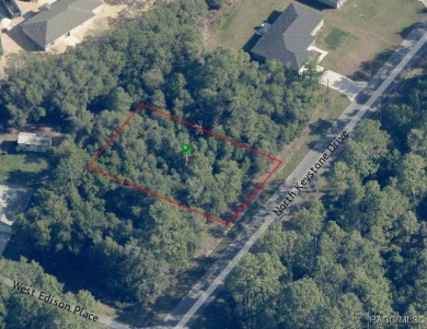 Buildable homesite in Citrus Springs offering an excellent on Pine Ridge Community Golf and Country Club in Florida - for sale on GolfHomes.com, golf home, golf lot