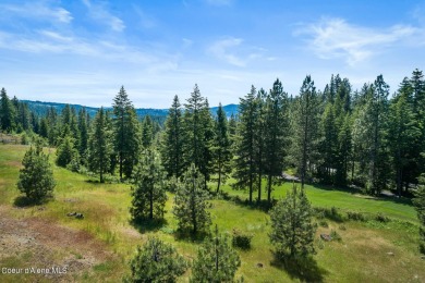 Scenic lot overlooking 8th fairway. This lot is waiting for your on Gozzer Ranch Golf and Lake Club in Idaho - for sale on GolfHomes.com, golf home, golf lot