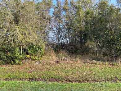 Build your dream home on this beautiful residential lot in the on Stonegate Golf Club in Florida - for sale on GolfHomes.com, golf home, golf lot