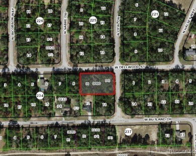 RARE DOUBLE LOT (a .34-acre corner lot  a .23-acre interior lot) on Citrus Springs Country Club in Florida - for sale on GolfHomes.com, golf home, golf lot