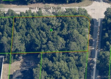 RARE DOUBLE LOT (a .34-acre corner lot  a .23-acre interior lot) on Citrus Springs Country Club in Florida - for sale on GolfHomes.com, golf home, golf lot