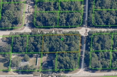 RARE DOUBLE LOT (a .34-acre corner lot  a .23-acre interior lot) on Citrus Springs Country Club in Florida - for sale on GolfHomes.com, golf home, golf lot