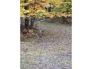 Stunning 51+ Acre Hunting Property - Fully Equipped! This on Forest Dunes Golf Club in Michigan - for sale on GolfHomes.com, golf home, golf lot