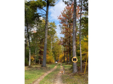 Stunning 51+ Acre Hunting Property - Fully Equipped! This on Forest Dunes Golf Club in Michigan - for sale on GolfHomes.com, golf home, golf lot