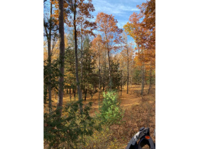 Stunning 51+ Acre Hunting Property - Fully Equipped! This on Forest Dunes Golf Club in Michigan - for sale on GolfHomes.com, golf home, golf lot