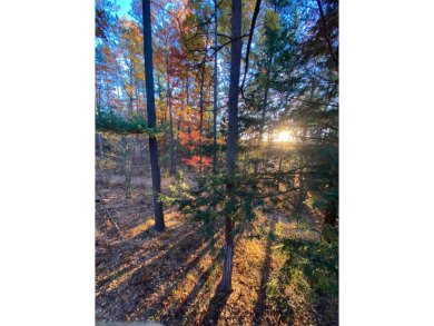 Stunning 51+ Acre Hunting Property - Fully Equipped! This on Forest Dunes Golf Club in Michigan - for sale on GolfHomes.com, golf home, golf lot