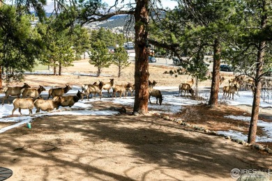 Double the Charm, Double the Opportunity Why settle for one when on Estes Park Golf Course in Colorado - for sale on GolfHomes.com, golf home, golf lot