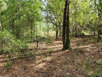 Lovely corner lot, with public water, to build your future home on Citrus Springs Country Club in Florida - for sale on GolfHomes.com, golf home, golf lot