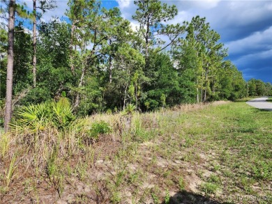 Lovely corner lot, with public water, to build your future home on Citrus Springs Country Club in Florida - for sale on GolfHomes.com, golf home, golf lot