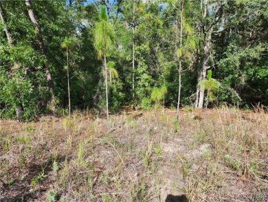 Lovely corner lot, with public water, to build your future home on Citrus Springs Country Club in Florida - for sale on GolfHomes.com, golf home, golf lot