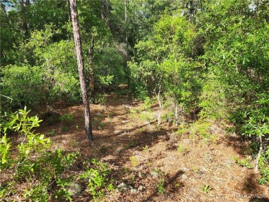 Lovely corner lot, with public water, to build your future home on Citrus Springs Country Club in Florida - for sale on GolfHomes.com, golf home, golf lot
