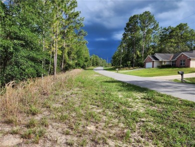Lovely corner lot, with public water, to build your future home on Citrus Springs Country Club in Florida - for sale on GolfHomes.com, golf home, golf lot