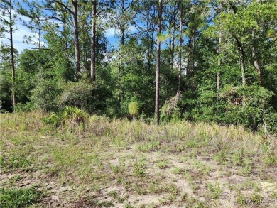 Lovely corner lot, with public water, to build your future home on Citrus Springs Country Club in Florida - for sale on GolfHomes.com, golf home, golf lot
