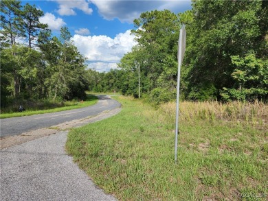 Lovely corner lot, with public water, to build your future home on Citrus Springs Country Club in Florida - for sale on GolfHomes.com, golf home, golf lot