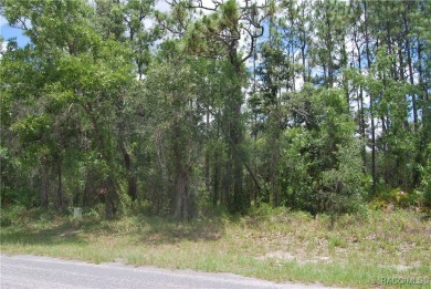 Build Your Dream Home in Sugarmill Woods! at 7 Sweetgum Court N on Sugarmill Woods Golf and Country Club in Florida - for sale on GolfHomes.com, golf home, golf lot