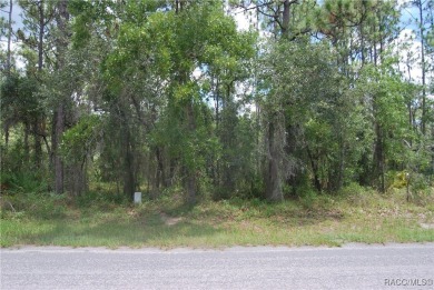 Build Your Dream Home in Sugarmill Woods! at 7 Sweetgum Court N on Sugarmill Woods Golf and Country Club in Florida - for sale on GolfHomes.com, golf home, golf lot