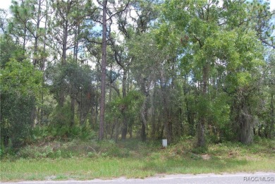 Build Your Dream Home in Sugarmill Woods! at 7 Sweetgum Court N on Sugarmill Woods Golf and Country Club in Florida - for sale on GolfHomes.com, golf home, golf lot