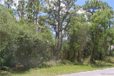 Build Your Dream Home in Sugarmill Woods! at 7 Sweetgum Court N on Sugarmill Woods Golf and Country Club in Florida - for sale on GolfHomes.com, golf home, golf lot