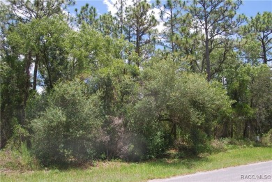 Build Your Dream Home in Sugarmill Woods! at 7 Sweetgum Court N on Sugarmill Woods Golf and Country Club in Florida - for sale on GolfHomes.com, golf home, golf lot