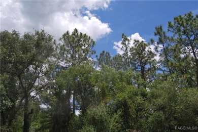 Build Your Dream Home in Sugarmill Woods! at 7 Sweetgum Court N on Sugarmill Woods Golf and Country Club in Florida - for sale on GolfHomes.com, golf home, golf lot