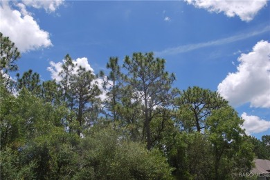 Build Your Dream Home in Sugarmill Woods! at 7 Sweetgum Court N on Sugarmill Woods Golf and Country Club in Florida - for sale on GolfHomes.com, golf home, golf lot